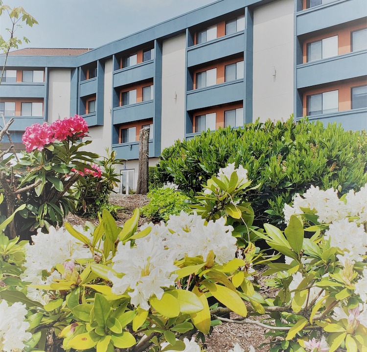Renton Hotel | Best Western Plus Renton Inn