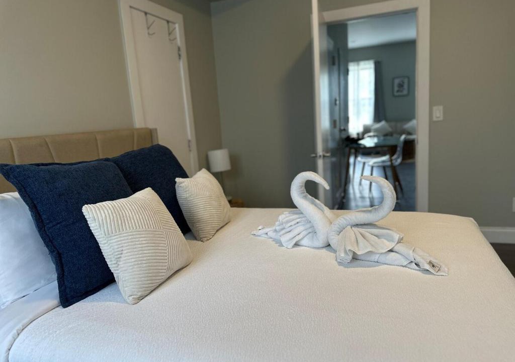 Albany Apartment | Bright & Airy 1 BDRM Private Apt