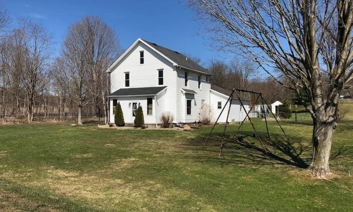 Bemus Point House | Meadow View at Chautauqua Lake 1.5 Acres Sleeps 10