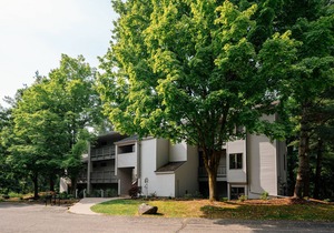 Near wineries, golf and horse show! Grand Traverse Bay beach 300' from condo!n