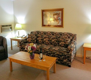 Efficiency Sofa 
