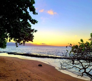Honokowai Palms 