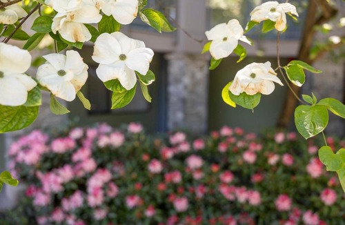 Burnaby Hotel | Accent Inns Burnaby