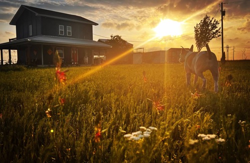 Nemo House | Beautiful, unique ranch stay, with stellar sunsets, close to dining & music