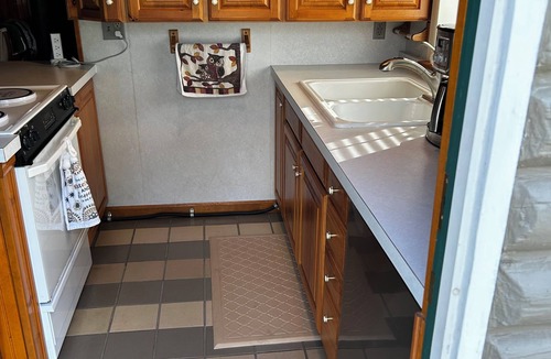 Harrison Cabin | Charming Lakefront log cabin 2bd-1 bath on Bluegill Lake in Harrison, MI