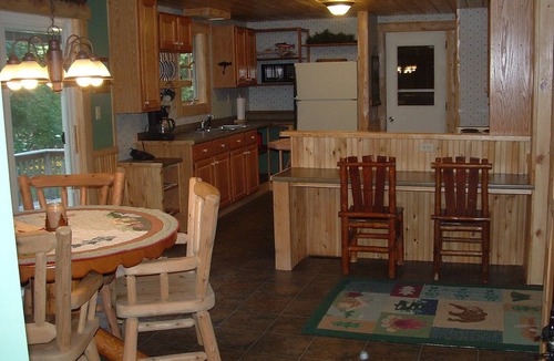 Wolverine House | Charming lodge like cabin on trout stream great for kayaking and near ORV trails