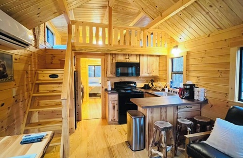 Putney Cabin | Charming luxury tiny cabin with AC and all the amenities in peaceful Putney