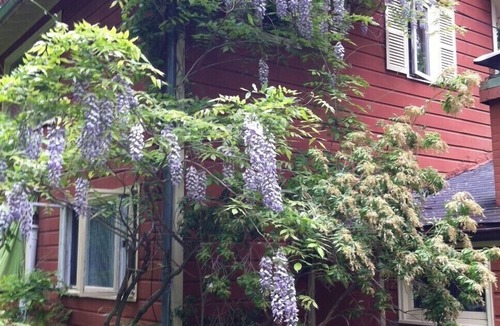 Bearsville House | Imagine The Woodstock House