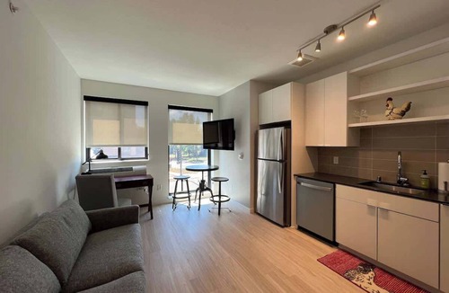 Hiawatha Apartment | Modern Sunny Micro 1BR Light Rail, Parks, MSP 305