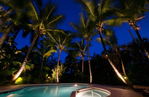 Bel Air House | Napping Tiki I Fully Stocked I Double Lot