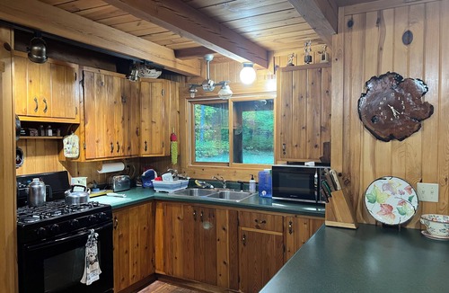 Crystal Falls Cabin | Rustic Forest Getaway has the comforts of home surrounded by woods and water.