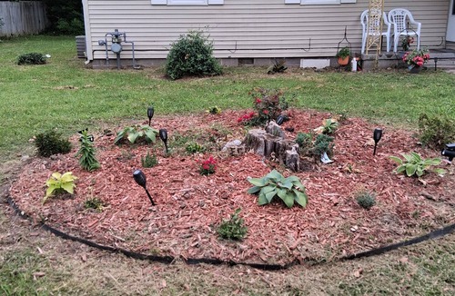 Carbondale House | Small and Cozy 3-bedroom house with AC in enchanting Carbondale