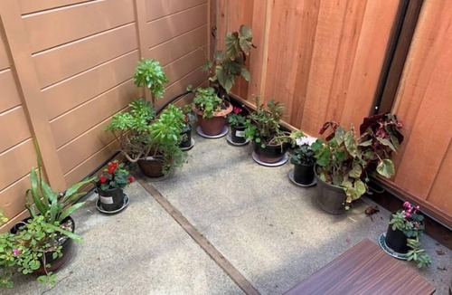 Castro Valley Apartment | Spacious Studio w/AC - Near BART/Free Laundry!