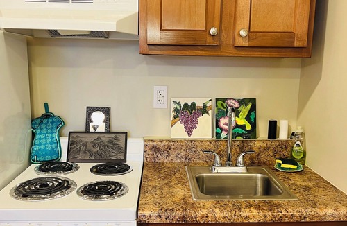 Roanoke Apartment | Studio Apartment, King Bed, Stunning View & Sauna