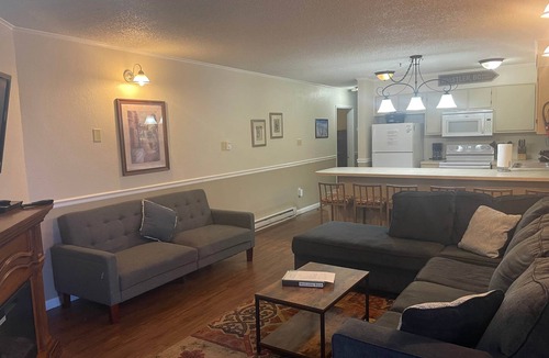 Ghent Apartment | Winterplace Condo D306