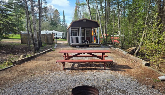 Bings Bearadise Cabin 35 min. from Pictured Rocks on the Manistique River in Germfask
