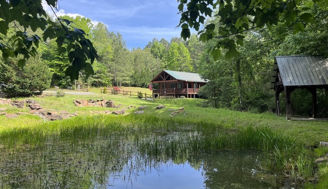 Cabin Blue Ridge-Murphy area, fast wifi, dog & family friendly, hot tub & trail!