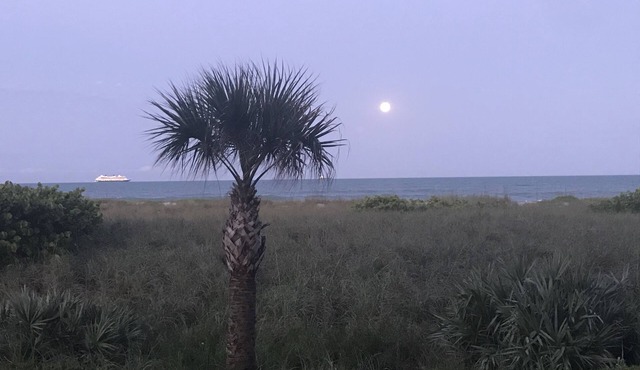 COMPLETELY REMODELED in 2020 Direct Oceanfront View 1st Floor Condo