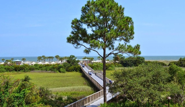 Courtyard View - 2 Bedroom - Marriott's SurfWatch - Full Resort Access