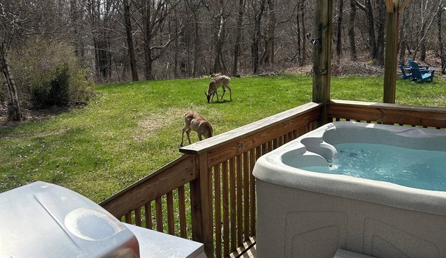 COZY CHALET-CAMELBACK & KALAHARI; HOT TUB, PING PONG & POOL TABLE; GAS FIREPLACE