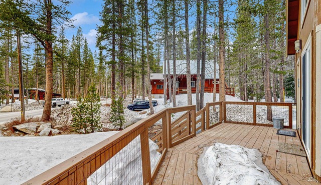 Cozy, dog-friendly getaway with wood stove & washer&dryer