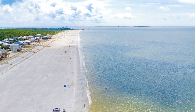 Dauphin Island Do-it Island Style