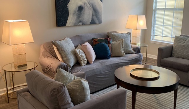 Fabulous One Bed/One Bath Corporate Furnished Apt in Alpharetta