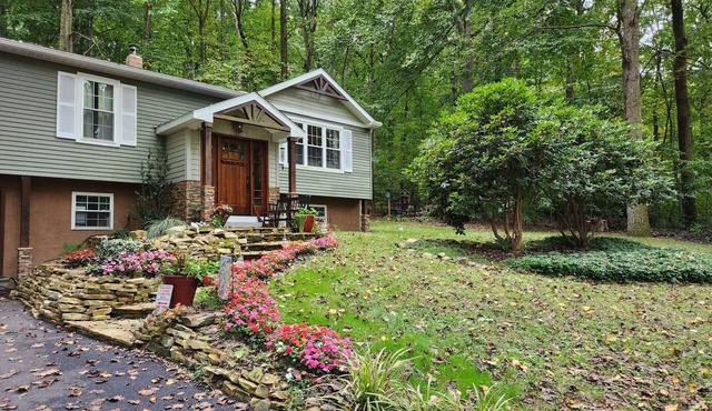 Fern House: Your Quiet Escape in the Woods
