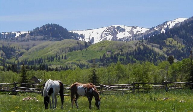 Gorgeous Mountain View from This Remodeled Red Pine Condo