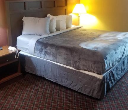Hotel King Bed Hotel Room 110 Wi-Fi Booking