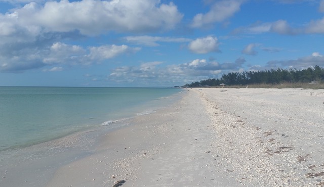 ISLAND LIVING! Ferry, parking is free! Closest bldg to beach.