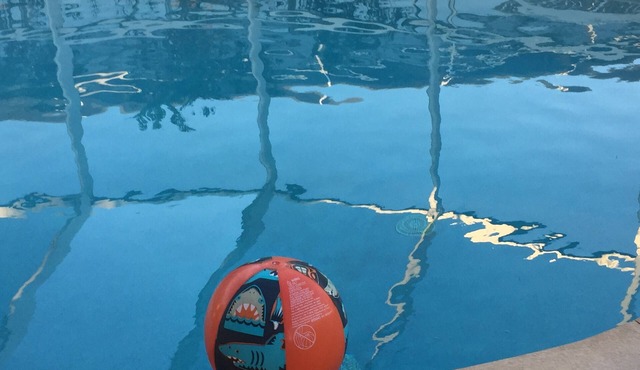 Last minute discount 4 BRHome Private Pool, walk to the Ocean Ormond by the Sea