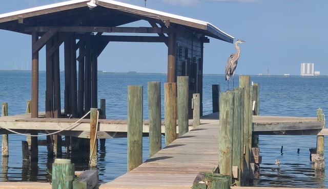 Launch & Lounge: Rocket views, pool and dock