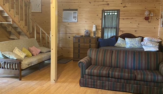 Little Tracks Cabins in Holladay