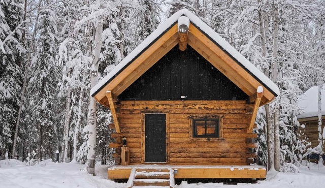 Modern Rustic Cabin w/Running Water & Shared Sauna in North Pole