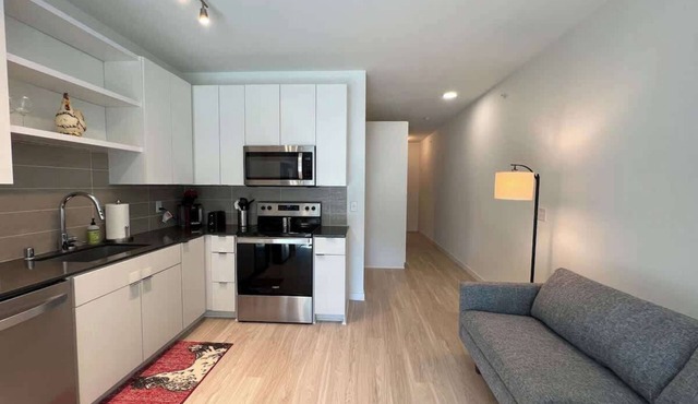 Modern Sunny Micro 1BR Light Rail, Parks, MSP 305