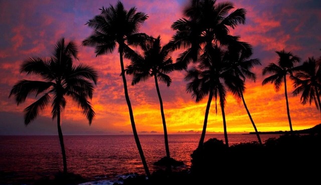 Oceanfront - Dolphin Retreat - KAYAKS INCLUDED