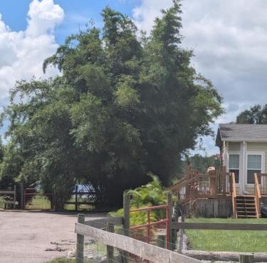 Private Waterfront Cottage with pool on 5 Acres Lakewood Ranch Area in Myakka FL
