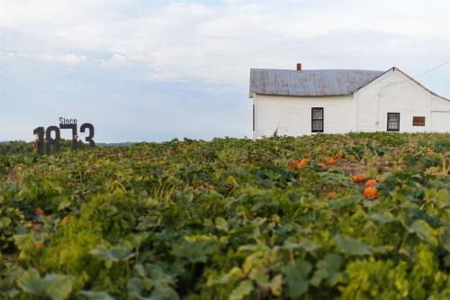 Rendelman Orchard's Farm Stay