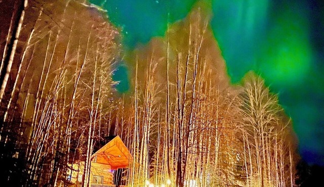 Riverfront, Authentic, Luxury Log Cabin-Black Bear in Houston