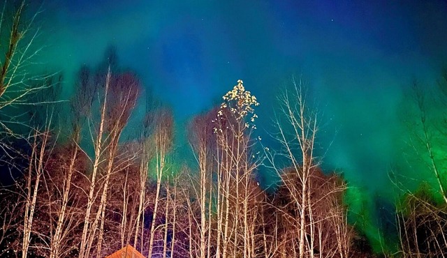 Riverfront, Authentic, Luxury Log Cabin-Bull Moose in Wasilla