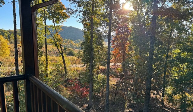 Romantic Cabin w/Hot Tub, Fire Pit & Mountain Views