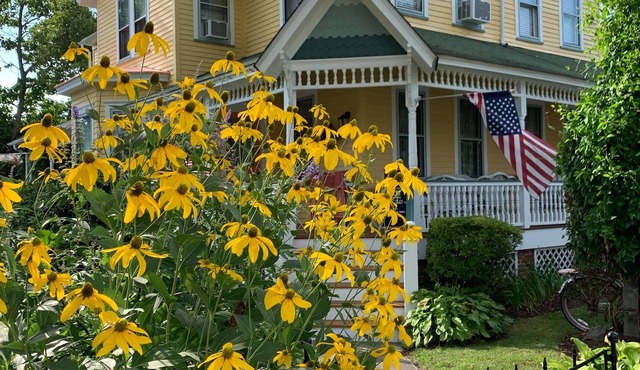 Roost WCM Center of town. Old charm meets modern conveniences !