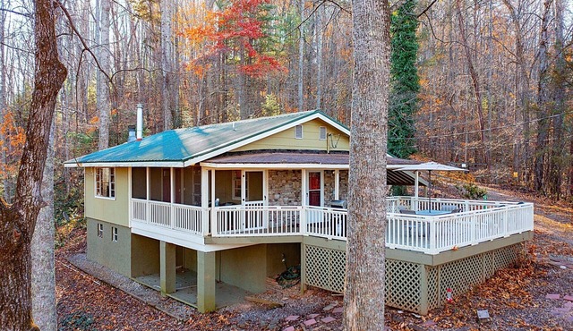 Serene 2-bedroom cabin with AC in charming Blairsville