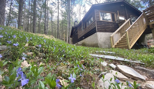 Serene Waterfront Log Cabin on 1 Wooded Acre with NEW REDUCED RATES FOR 2024!