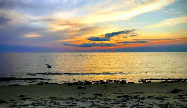Shore to Please. Big family, pet friendly beach house.