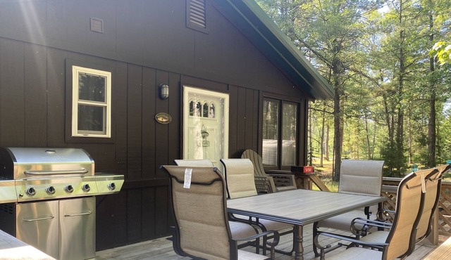 Spacious Peaceful 1 Bedroom cabin, wooded lot, Near Higgins Lake, new to VRBO.