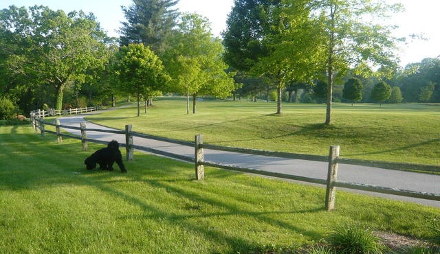 Sparrow's Rest - A Place to Retreat-