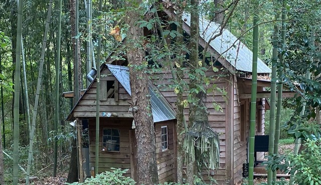 Tin Roof Rusted tiny house -2.5 miles to downtown, quite, secluded and private!
