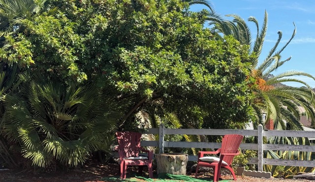 Whole House Free Parking Great Price and Location